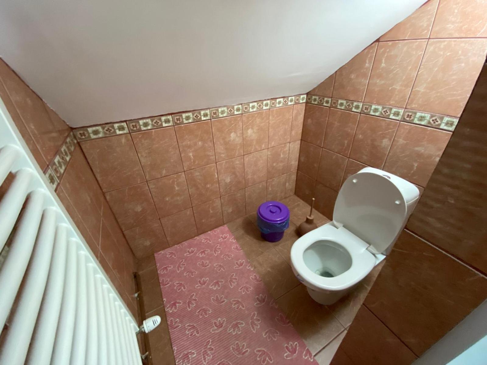 مبيت وإفطار Skorenovac Sud ,,Antal I Olga,, الغرفة الصورة